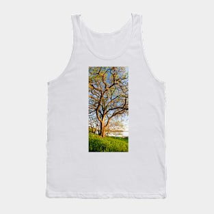 Vertical panorama of big tree Tank Top